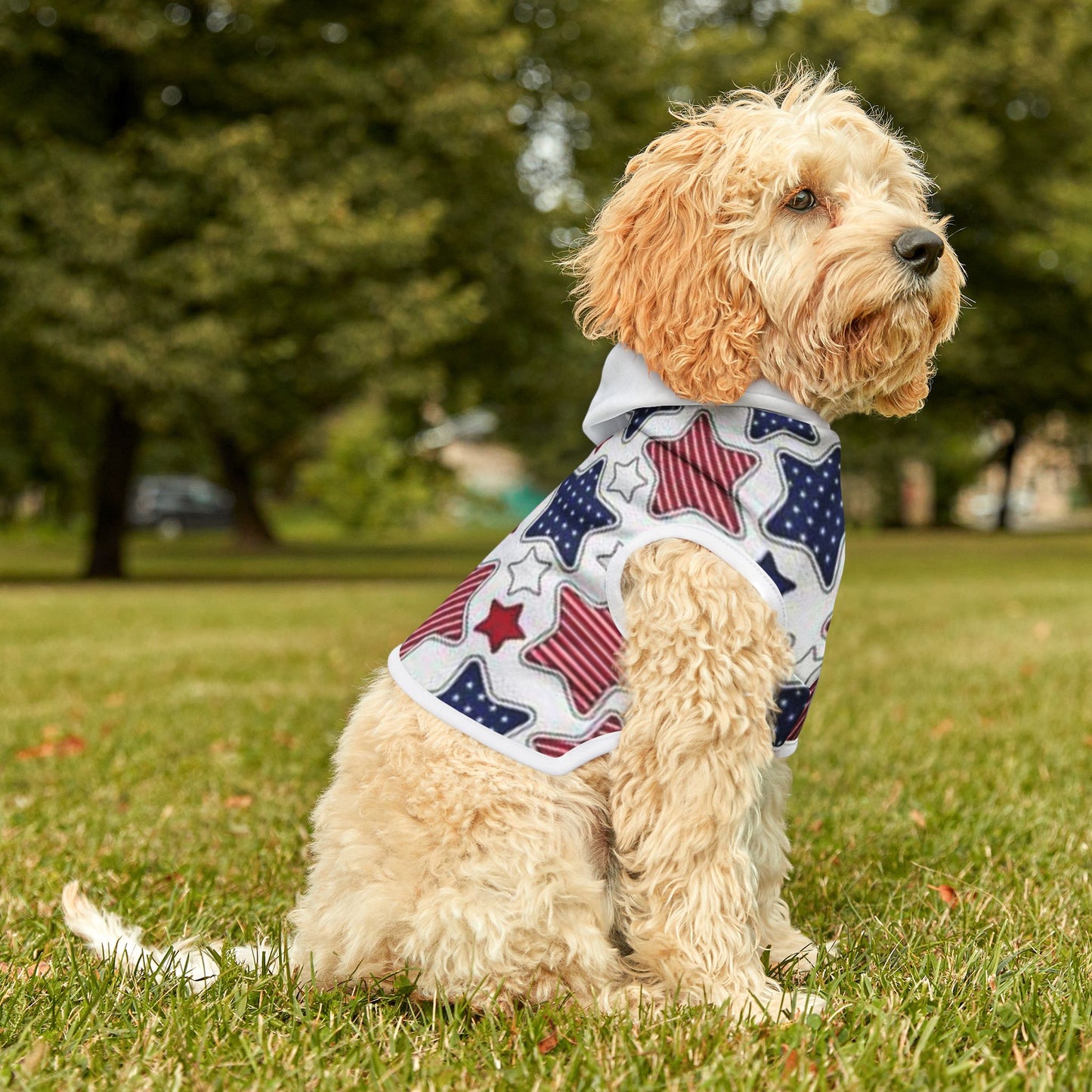 Pet Hoodie